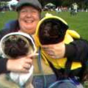 Meet your Posher, Jan